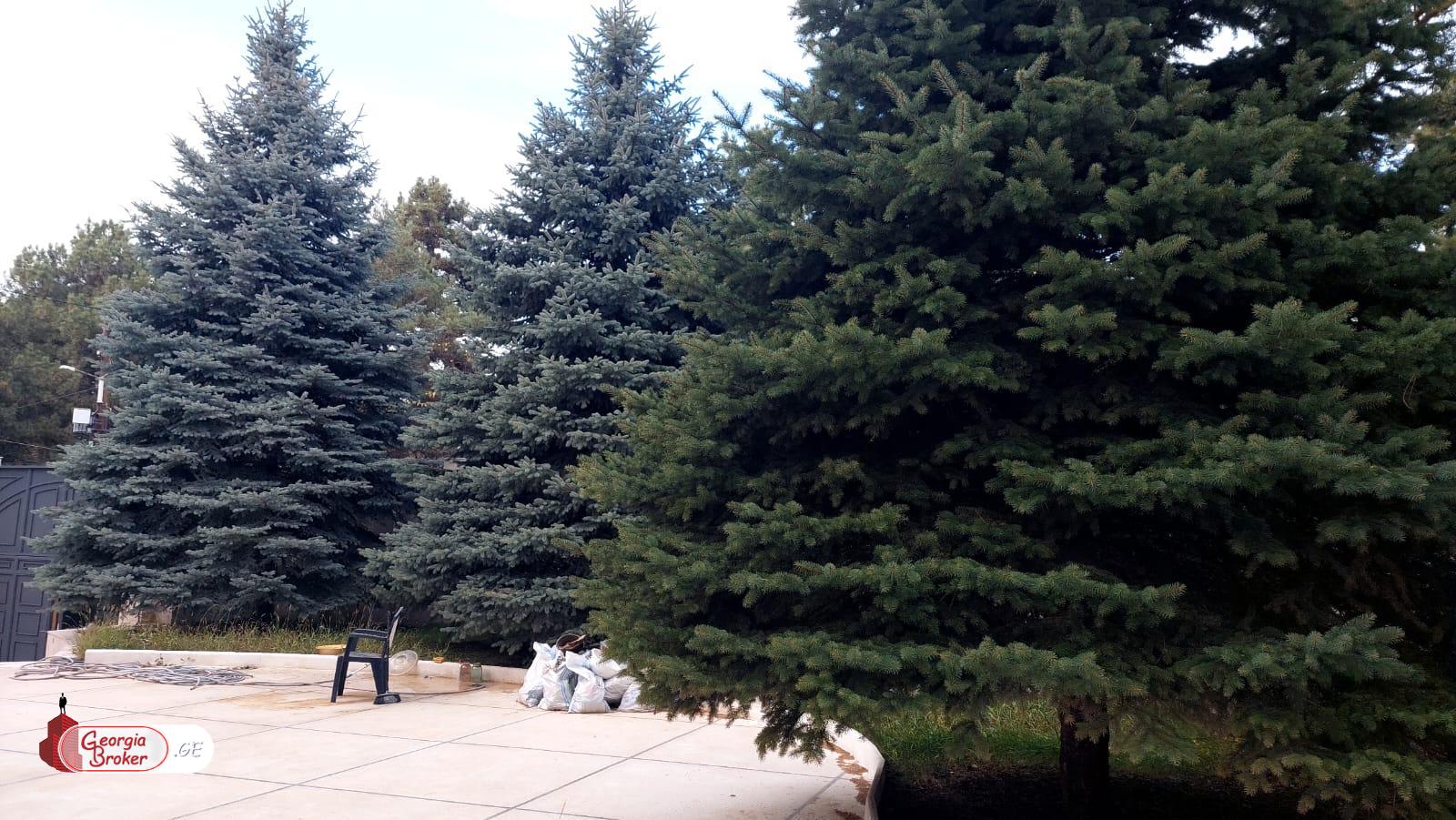 ქირავდება  ახალი  გარემონტებული  4სართულიანი  შენობა  წყნეთში